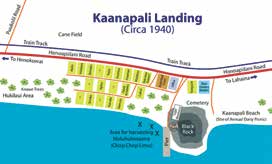 keeping-history-alive-maui-plantation-camps-3