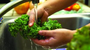 Always wash produce thoroughly under potable running water before consuming. Pay careful attention to leafy greens.